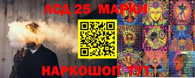 ПСИЛОЦИБИНОВЫЕ ГРИБЫ Вязники