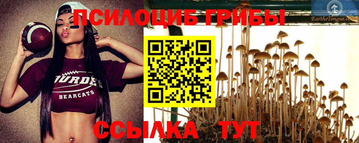 Галлюциногенные грибы прущие грибы  Вход с VPN  Богородицк 