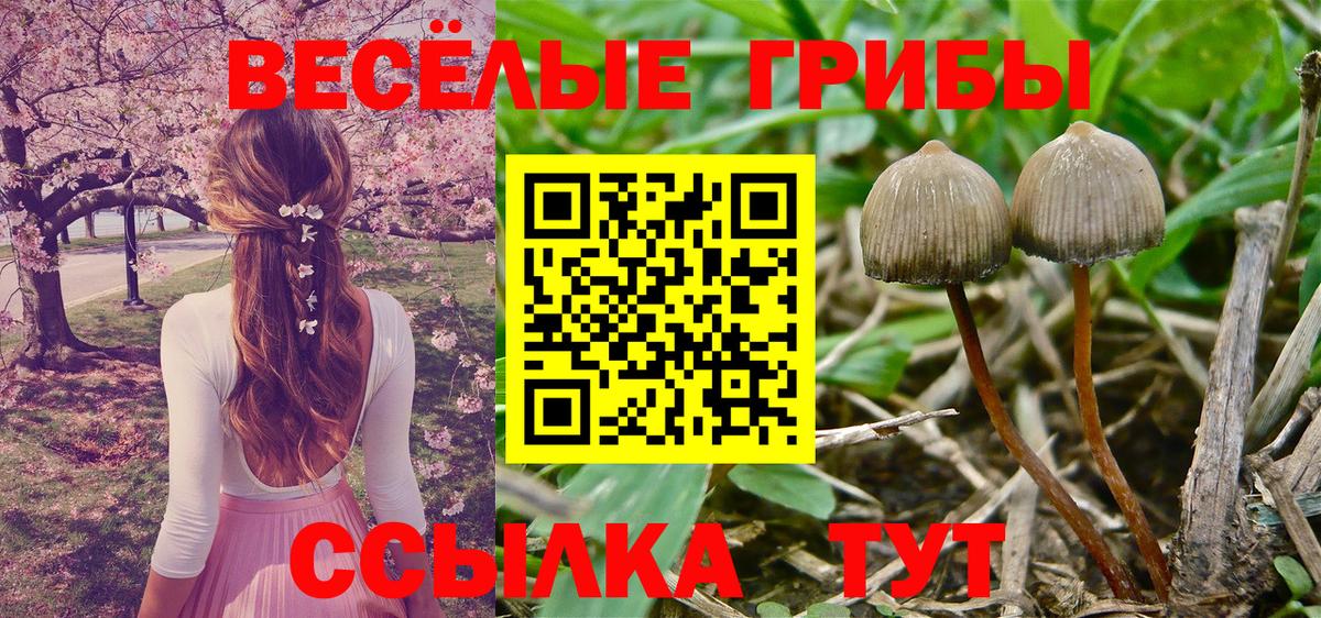 Псилоцибиновые грибы GOLDEN TEACHER Богородицк